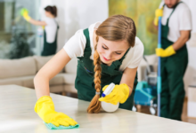 Professional Cleaning Services For Your Home